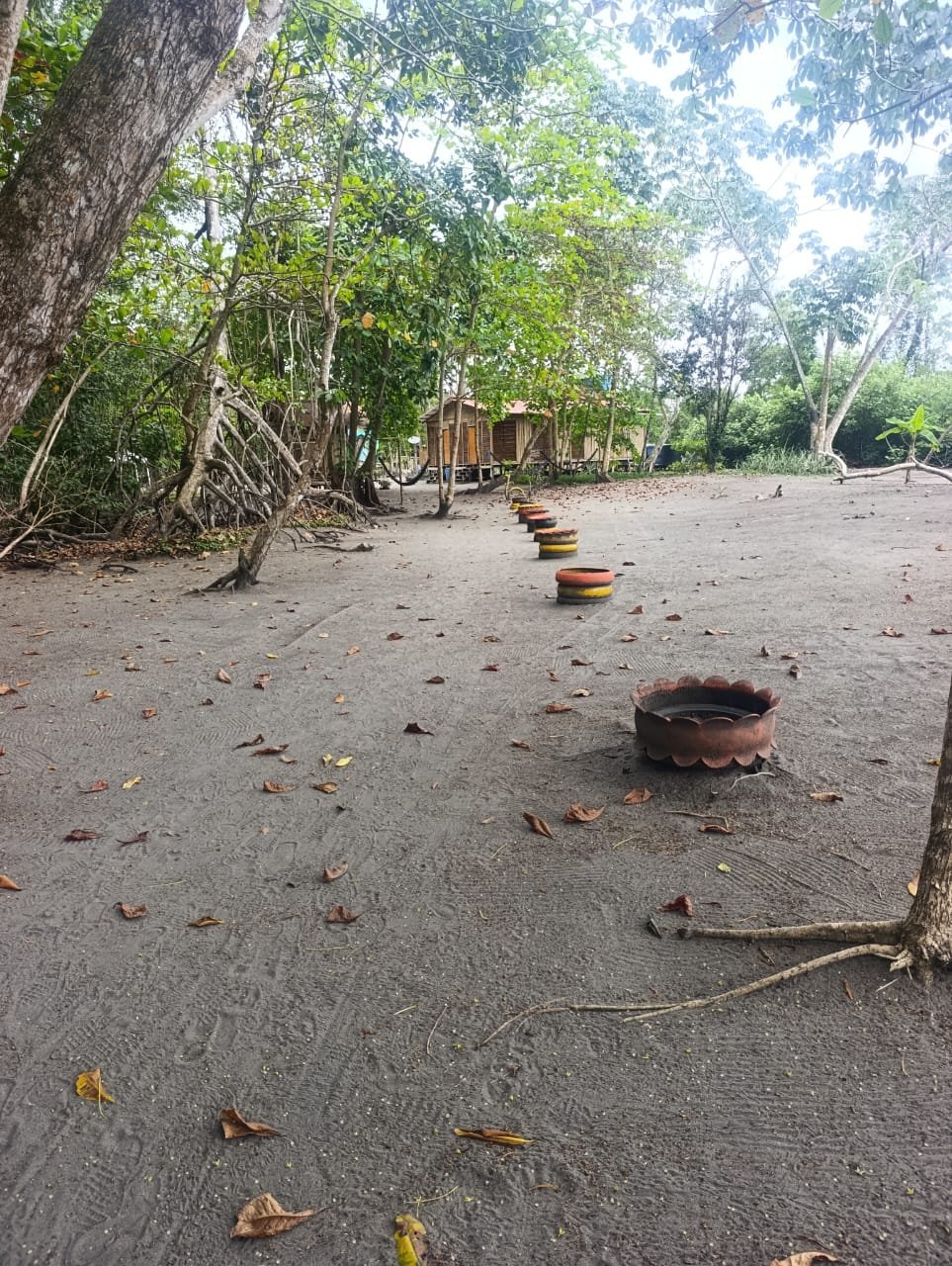 b79906e8-91ff-4345-b2b9-f8aa54118475