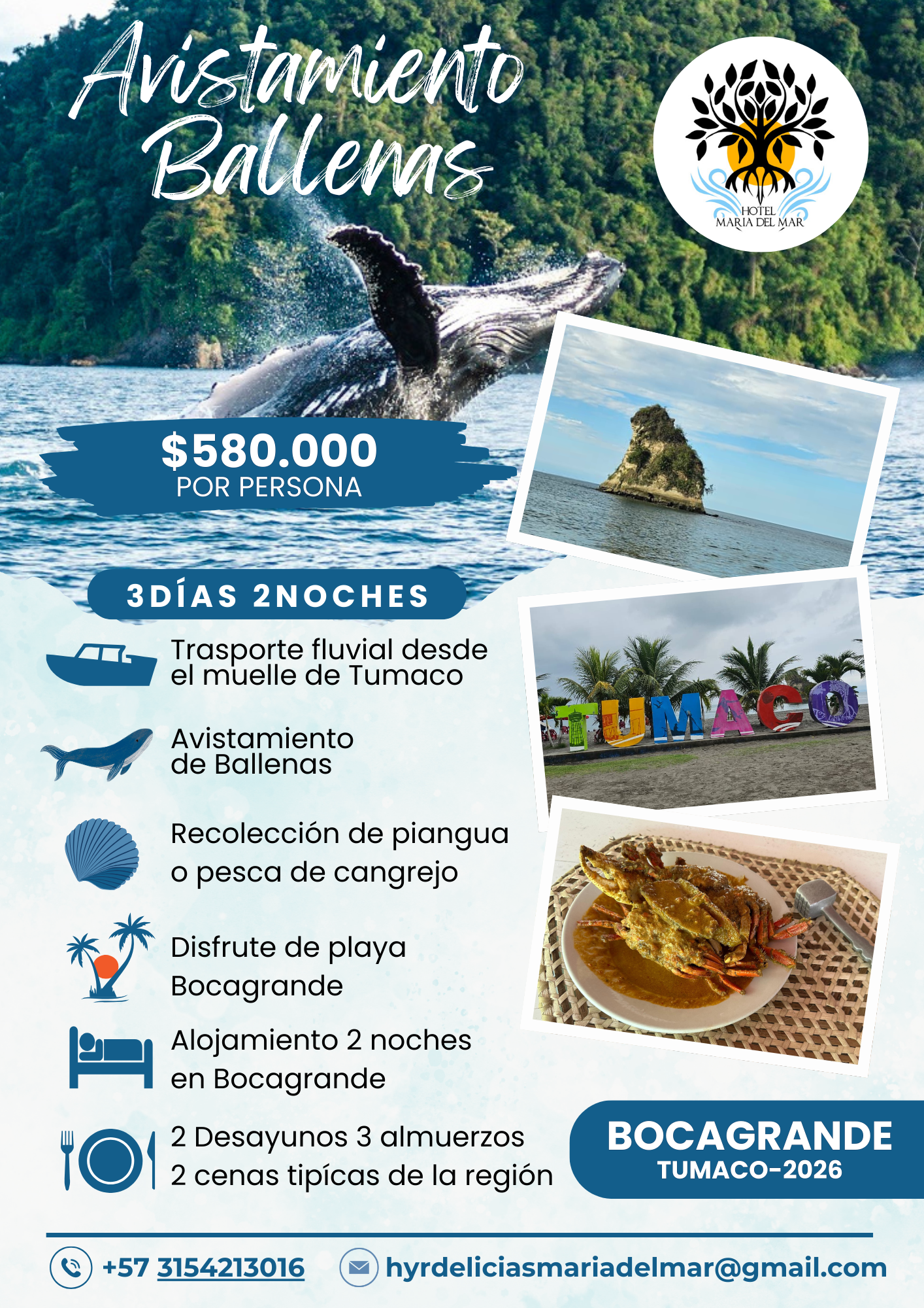 flyer avistamiento de ballenas