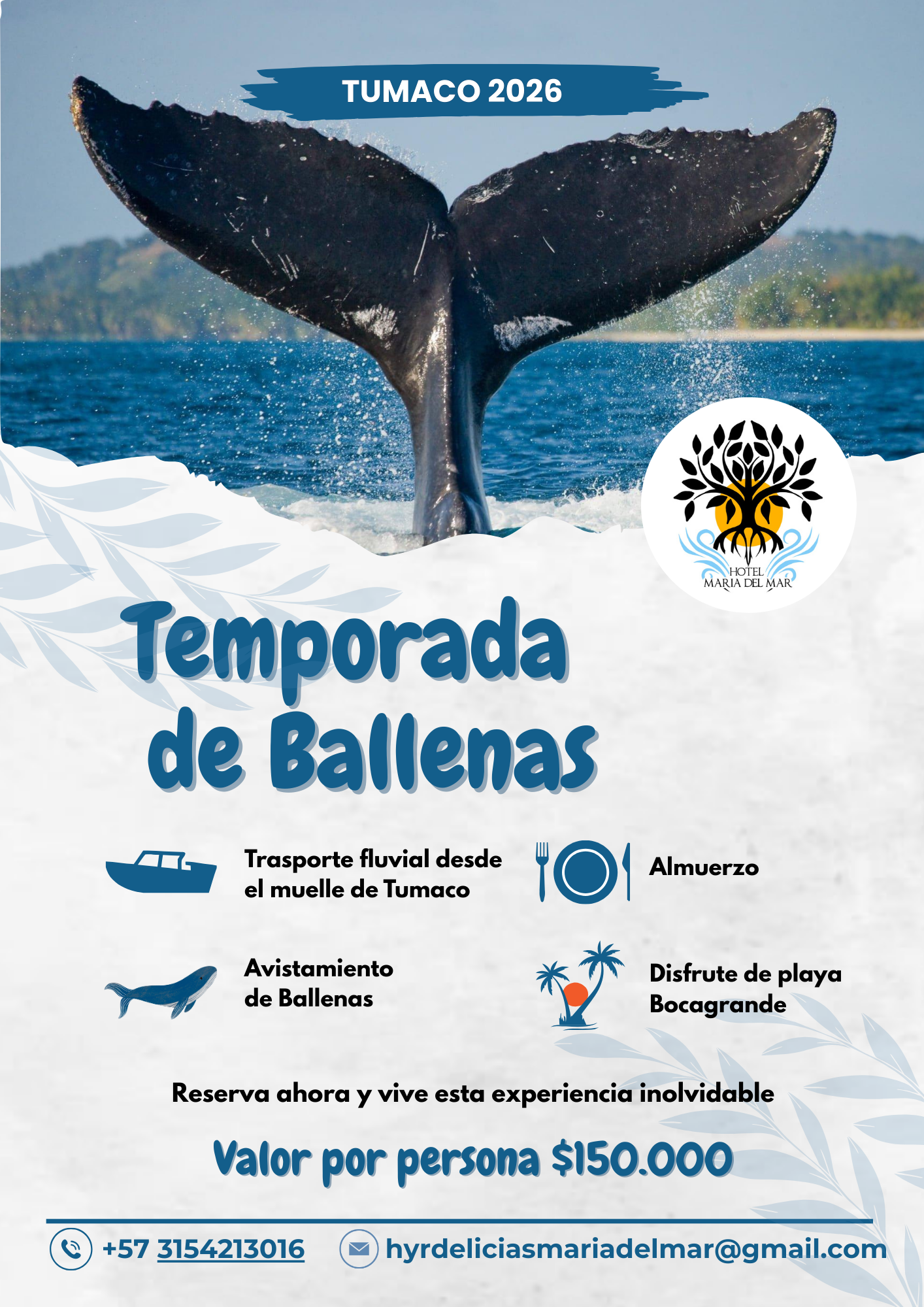 flyer ballenas