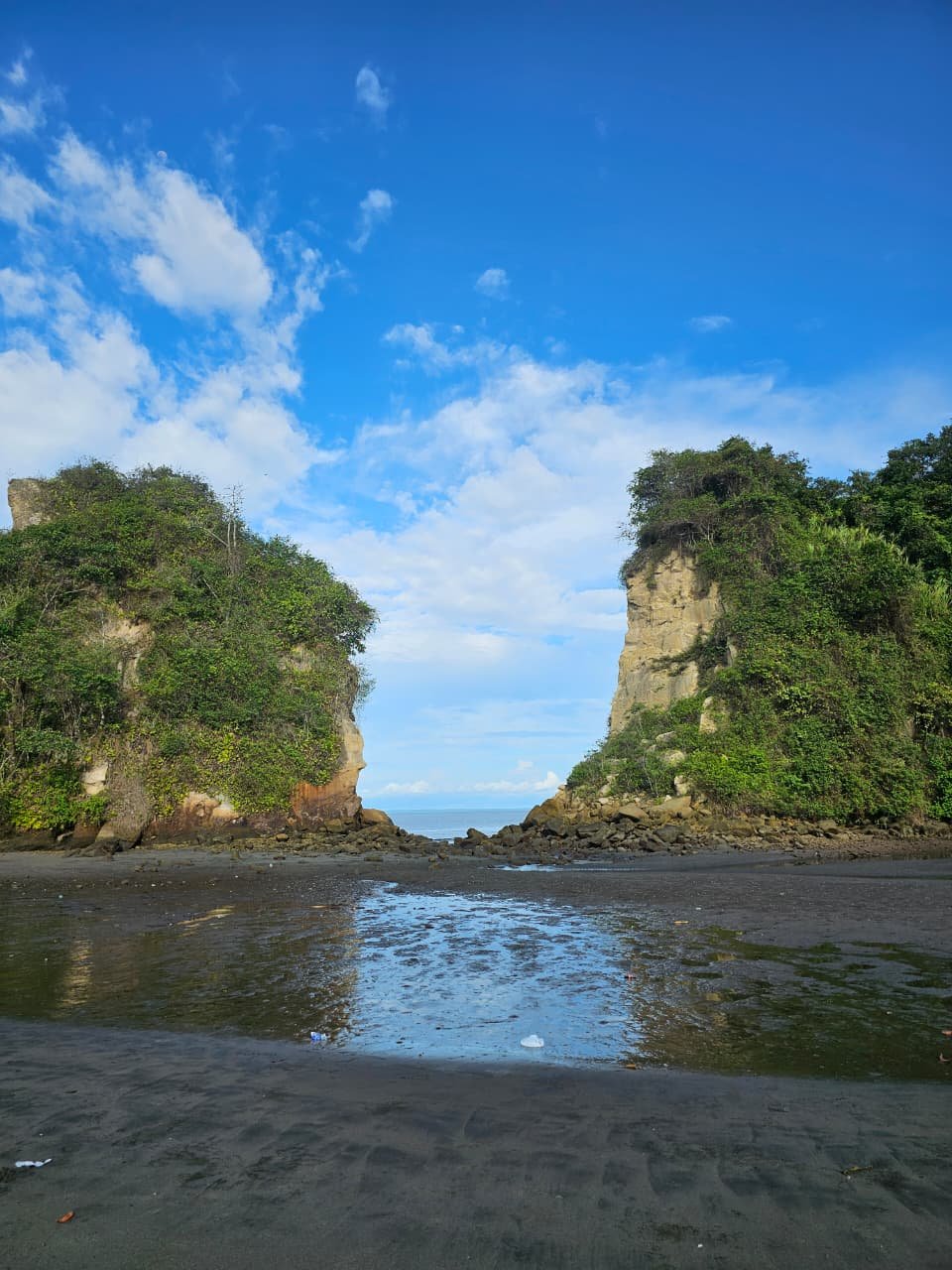 whatsapp image 2026 01 28 at 10.34.02 am (4)