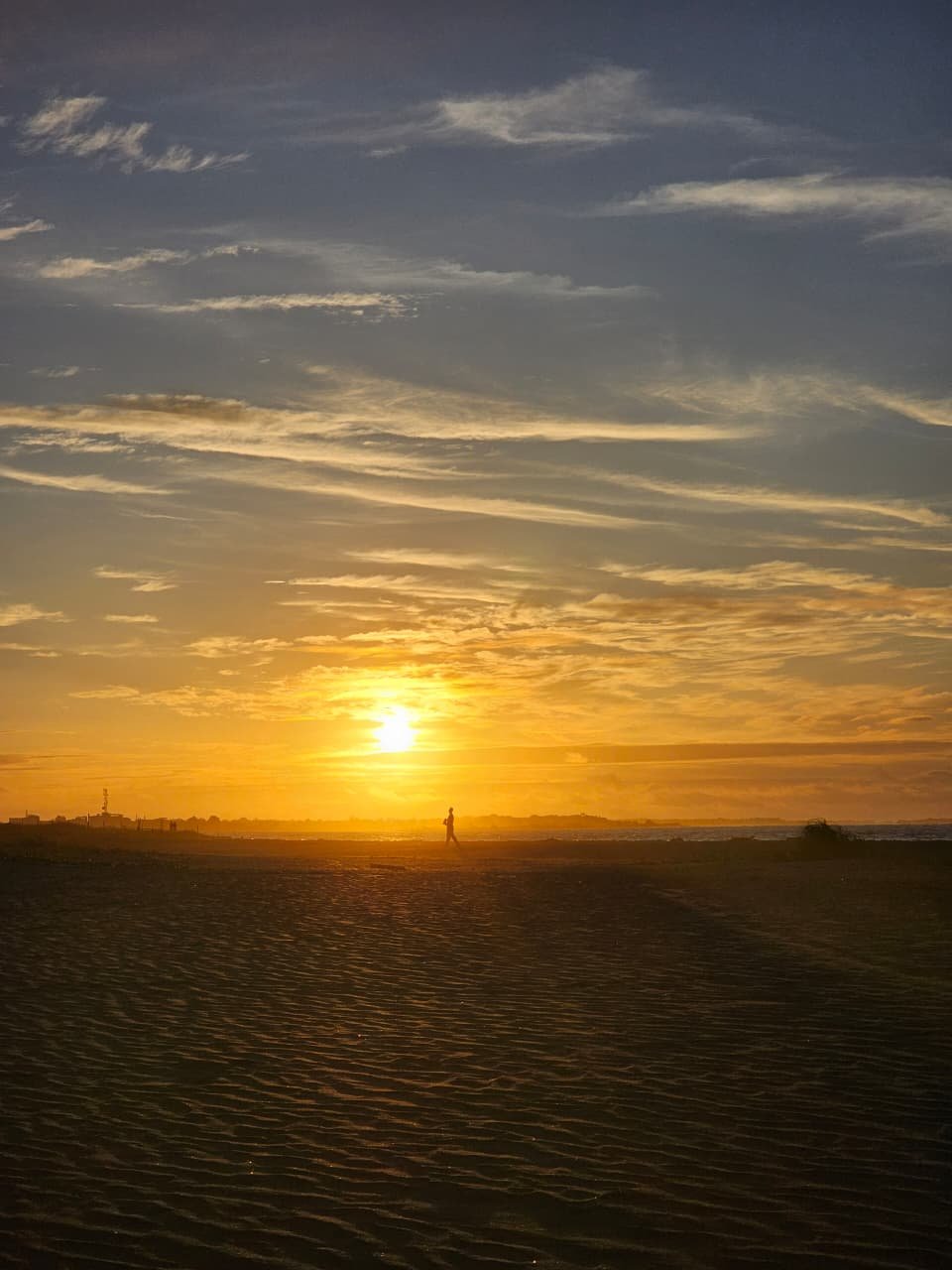 whatsapp image 2026 02 04 at 4.01.47 pm (1)